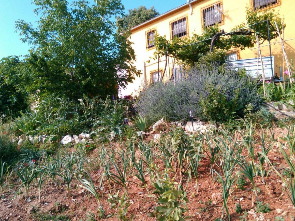 Cortijo De La Cruz Villa Iznájar Exteriör bild